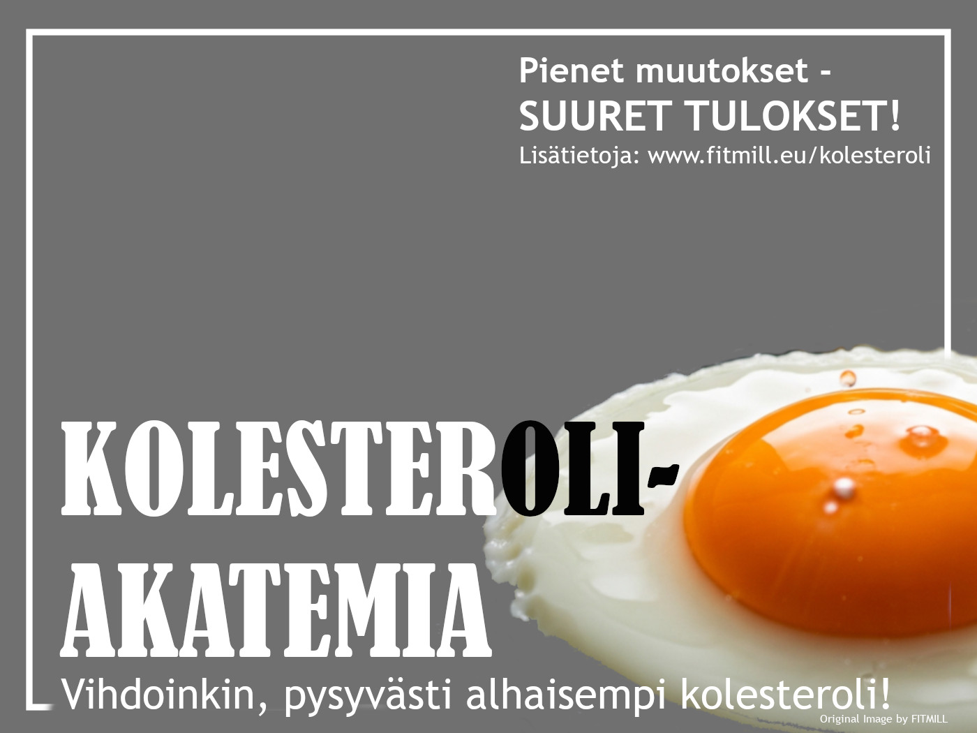 Kolesteroliakatemia FITMILL